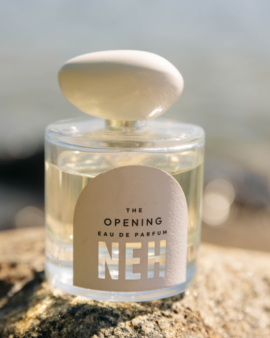 A fragrance for new beginnings