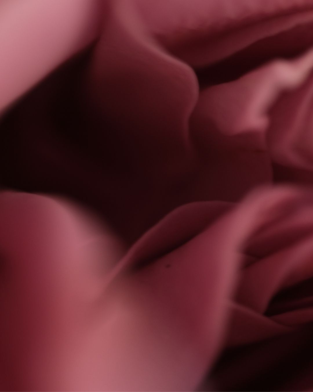 The science of scent and emory: rose as frequency