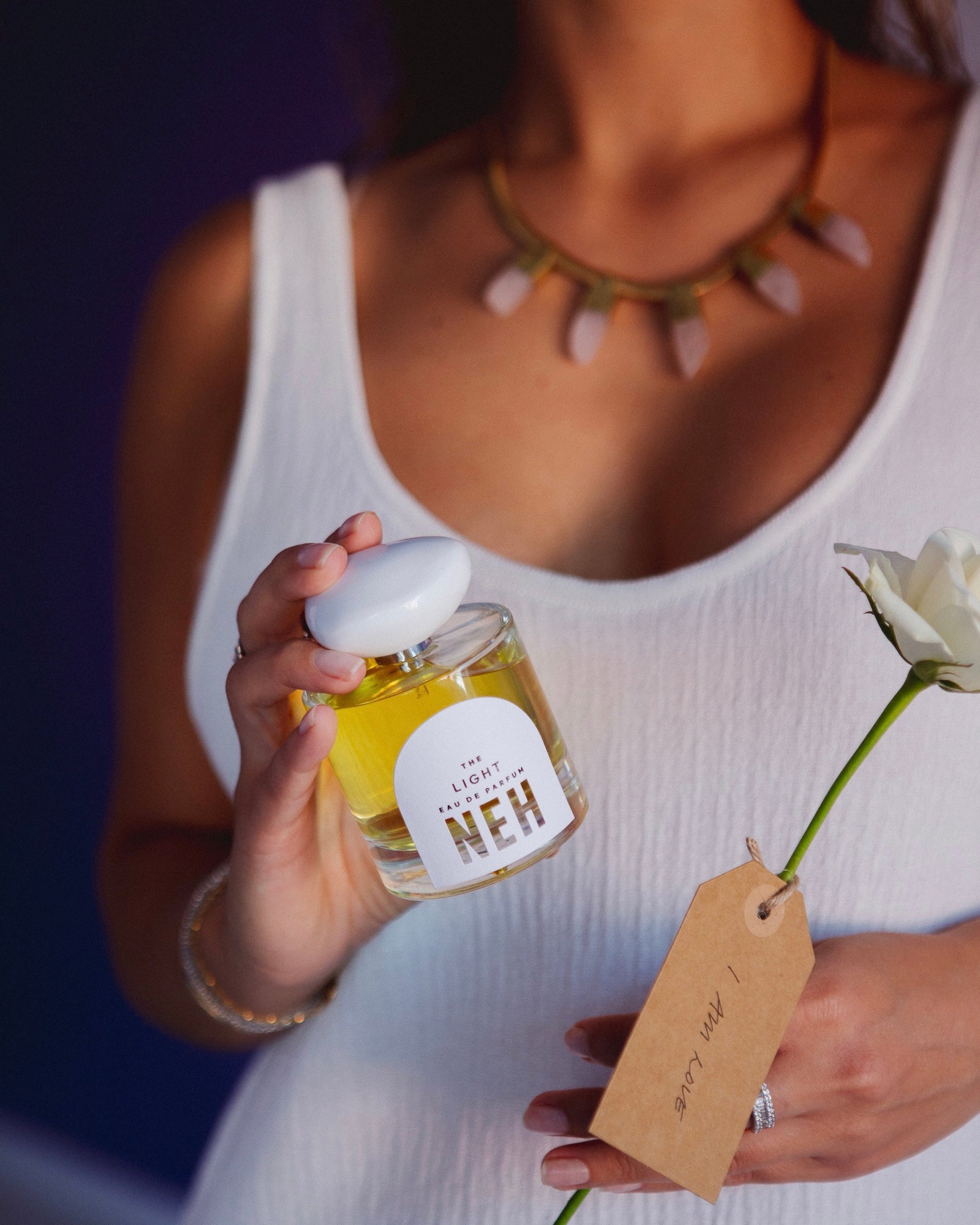 The NEH Experience: How to begin your journey