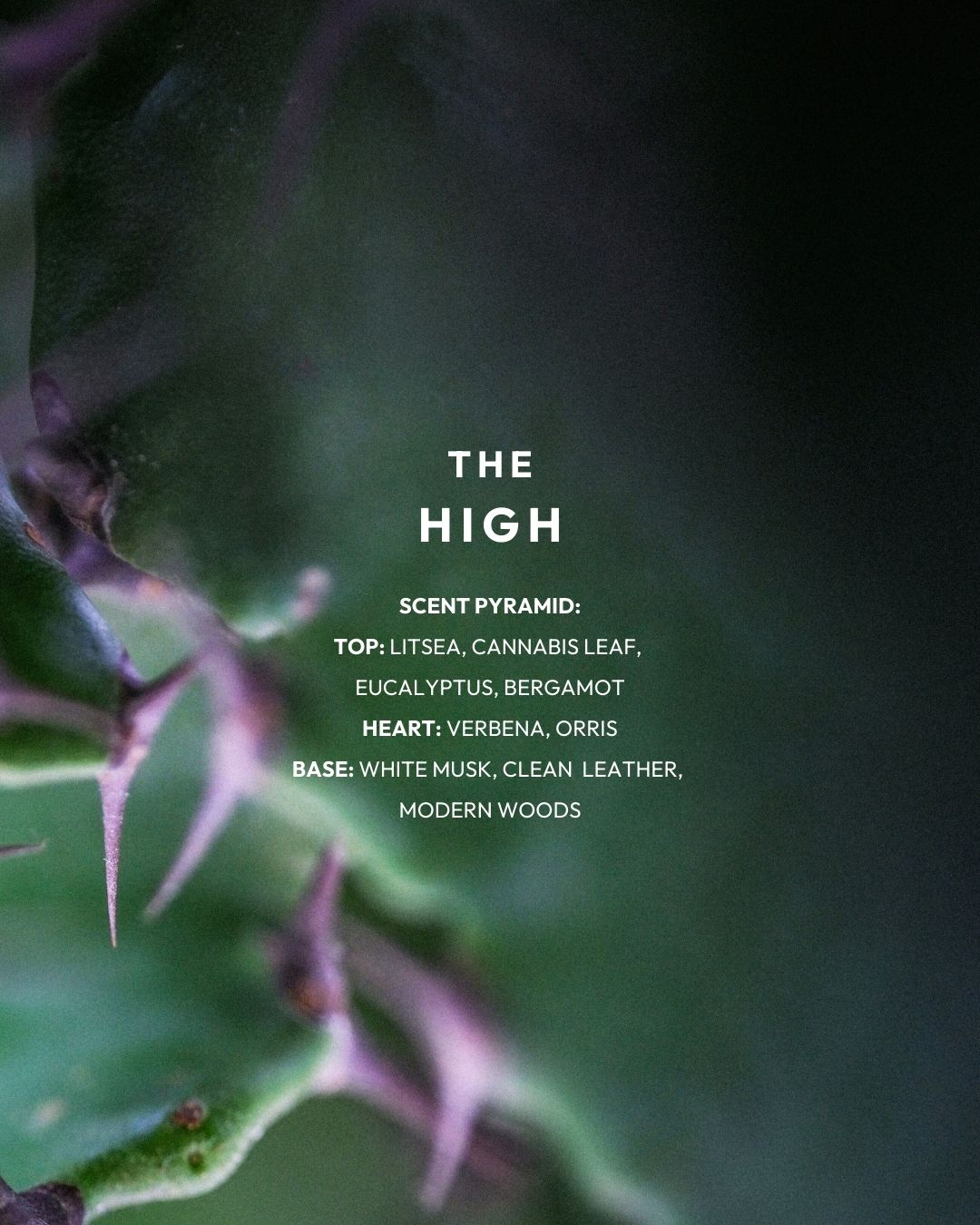 The High EdP