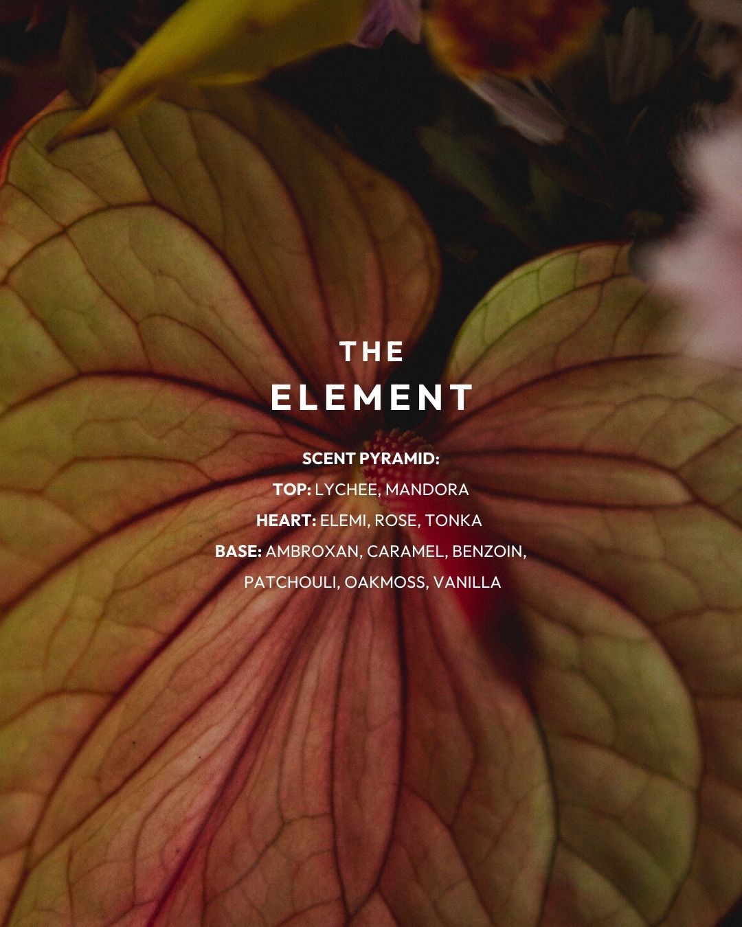 The Element EdP